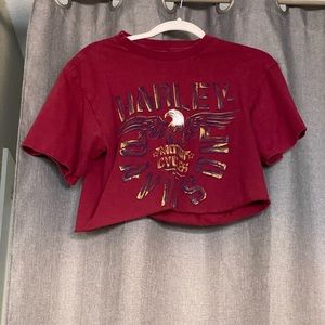 harley davidson dallas crop top